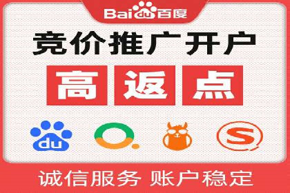 百度推广代运营公司成功案例：精准投放广告的秘诀